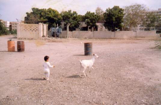 Jessica chasing a Billy Goat