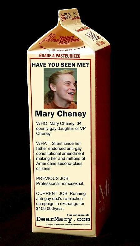 A photo supposedly depicting Mary Cheney on a Milk Carton posted on the Internet by a supposedly pro-Lesbian rights group
