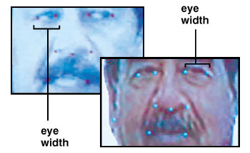Eyes of Saddam Hussein