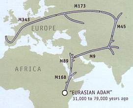 Migration across Asia